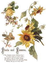 Load image into Gallery viewer, Flowers By The Poets IOD Transfer