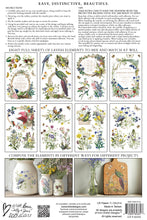 Load image into Gallery viewer, Flora Greca IOD Transfer
