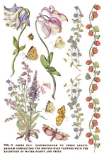 Load image into Gallery viewer, Primrose Isle IOD Transfer
