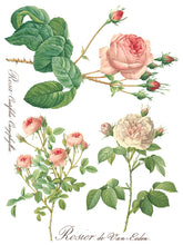 Load image into Gallery viewer, Rose Botanical IOD Transfer
