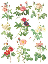 Load image into Gallery viewer, Rose Botanical IOD Transfer

