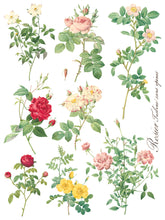 Load image into Gallery viewer, Rose Botanical IOD Transfer
