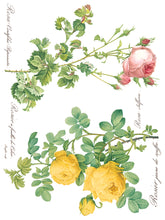 Load image into Gallery viewer, Rose Botanical IOD Transfer

