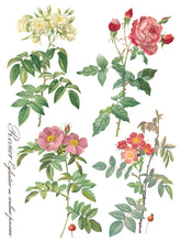 Load image into Gallery viewer, Rose Botanical IOD Transfer
