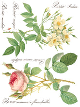 Load image into Gallery viewer, Rose Botanical IOD Transfer
