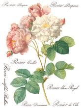 Load image into Gallery viewer, Rose Botanical IOD Transfer
