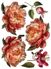 Load image into Gallery viewer, Collage de Fleurs Transfer
