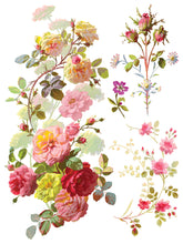 Load image into Gallery viewer, Saint Germain Transfer
