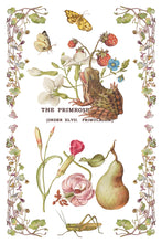 Load image into Gallery viewer, Primrose Isle IOD Transfer

