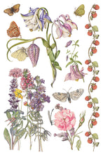 Load image into Gallery viewer, Primrose Isle IOD Transfer
