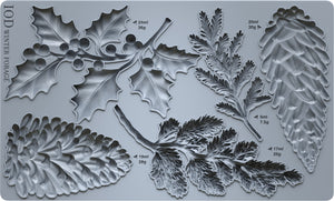 Winter Forage Mould