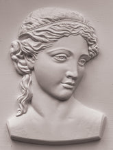 Load image into Gallery viewer, Persephone IOD Mould
