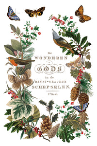 Winter Botanist Transfer