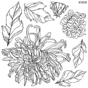 Chrysanthemoms Stamp